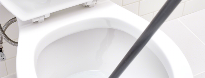 Как да не използваме змия за тоалетната! 1 Как да не използваме змия за тоалетната!